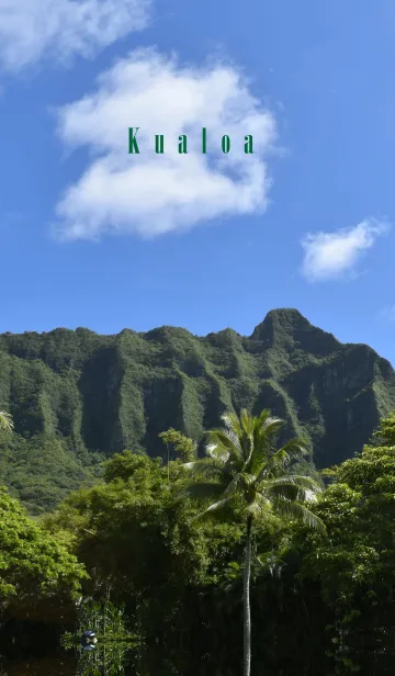 [LINE着せ替え] ALOHA KUALOA THEME.の画像1