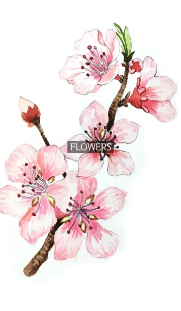 [LINE着せ替え] water color flowers_589の画像1