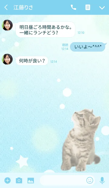 [LINE着せ替え] 癒し子猫♪涼風子猫の夏の画像3