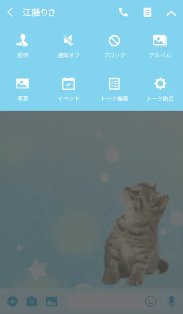 [LINE着せ替え] 癒し子猫♪涼風子猫の夏の画像4