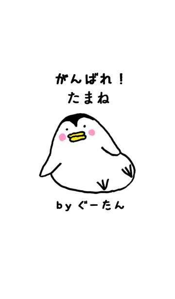 「たまね」専用着せかえ by ぐーたんの着せ替えメイン画像