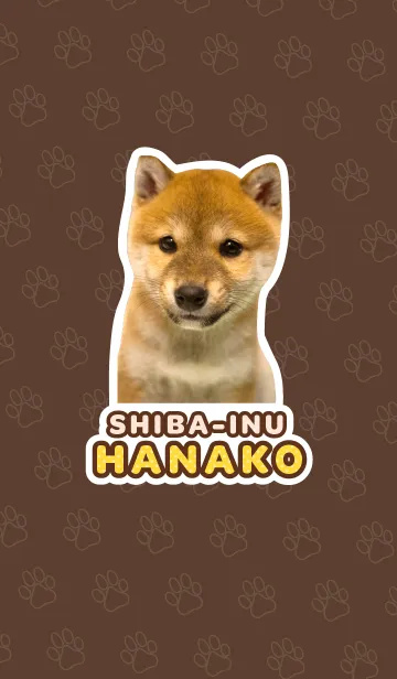 しばいぬハナコ【柴犬写真*a16】の着せ替えメイン画像