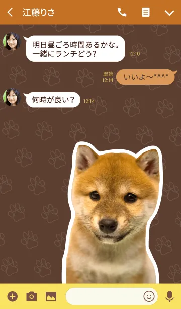 [LINE着せ替え] しばいぬハナコ【柴犬写真*a16】の画像3