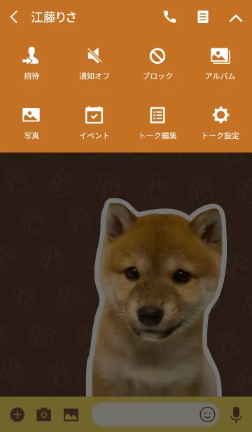 [LINE着せ替え] しばいぬハナコ【柴犬写真*a16】の画像4