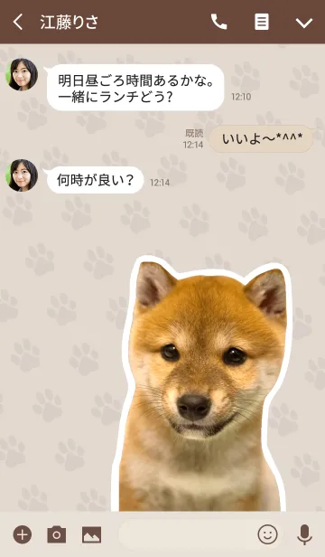 [LINE着せ替え] しばいぬハナコ【柴犬写真*a17】の画像3