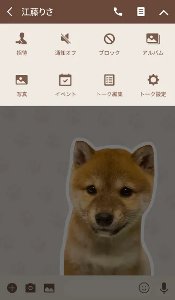 [LINE着せ替え] しばいぬハナコ【柴犬写真*a17】の画像4