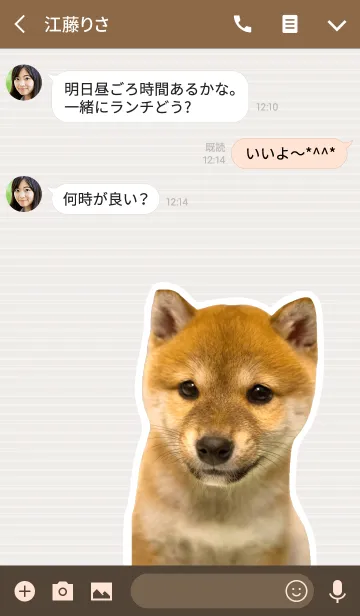 [LINE着せ替え] しばいぬハナコ【柴犬写真*a18】の画像3