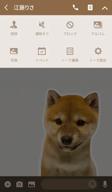 [LINE着せ替え] しばいぬハナコ【柴犬写真*a18】の画像4