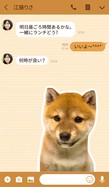 [LINE着せ替え] しばいぬハナコ【柴犬写真*a19】の画像3