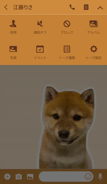 [LINE着せ替え] しばいぬハナコ【柴犬写真*a19】の画像4