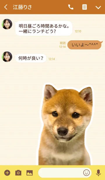 [LINE着せ替え] しばいぬハナコ【柴犬写真*a20】の画像3