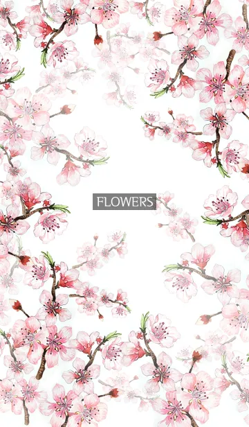 [LINE着せ替え] water color flowers_596の画像1