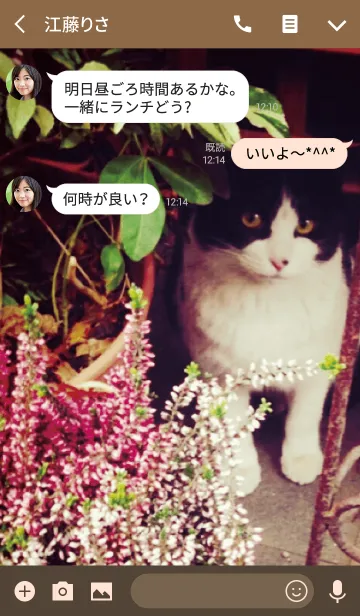 [LINE着せ替え] Stray Cat -MEKYM-の画像3