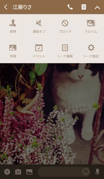 [LINE着せ替え] Stray Cat -MEKYM-の画像4