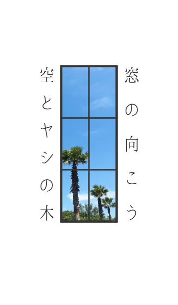 [LINE着せ替え] 夏 窓の向こう(空とヤシの木)の画像1