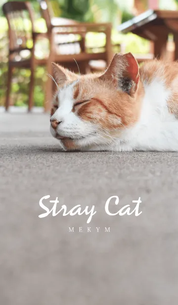 [LINE着せ替え] Stray Cat 2 -MEKYM-の画像1