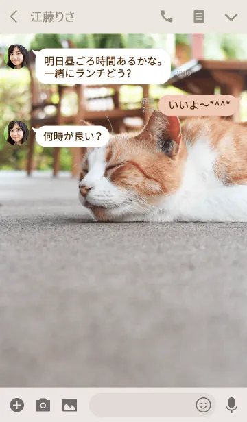 [LINE着せ替え] Stray Cat 2 -MEKYM-の画像3