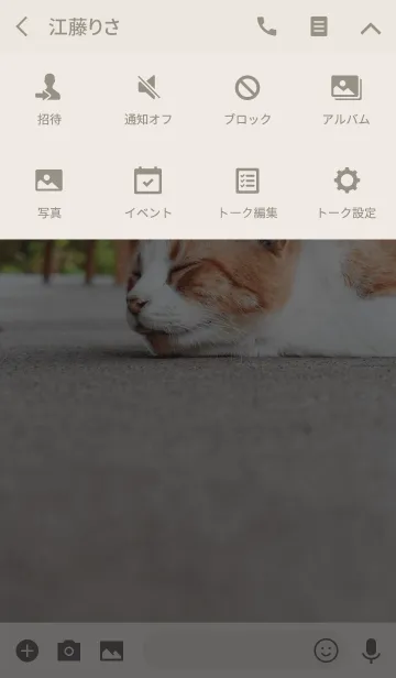 [LINE着せ替え] Stray Cat 2 -MEKYM-の画像4