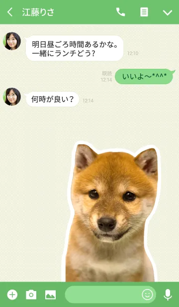 [LINE着せ替え] しばいぬハナコ【柴犬写真*a21】の画像3