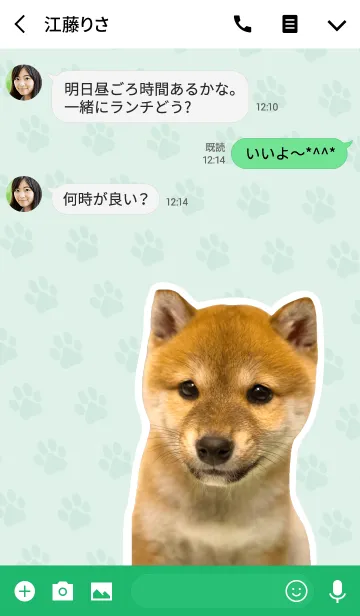 [LINE着せ替え] しばいぬハナコ【柴犬写真*a22】の画像3