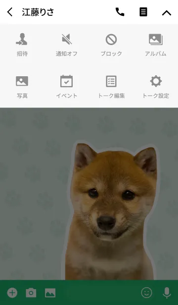 [LINE着せ替え] しばいぬハナコ【柴犬写真*a22】の画像4