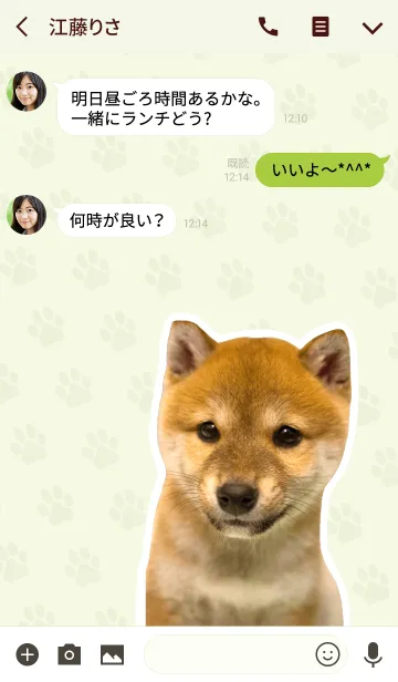 [LINE着せ替え] しばいぬハナコ【柴犬写真*a23】の画像3