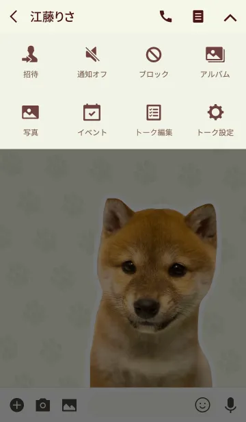 [LINE着せ替え] しばいぬハナコ【柴犬写真*a23】の画像4