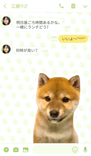 [LINE着せ替え] しばいぬハナコ【柴犬写真*a24】の画像3