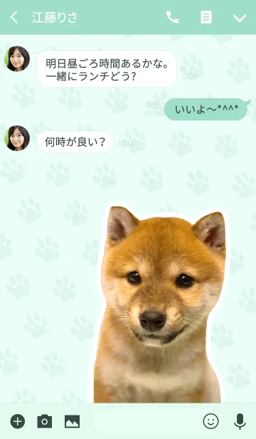 [LINE着せ替え] しばいぬハナコ【柴犬写真*a25】の画像3