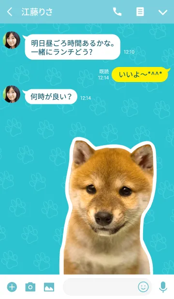 [LINE着せ替え] しばいぬハナコ【柴犬写真*a26】の画像3