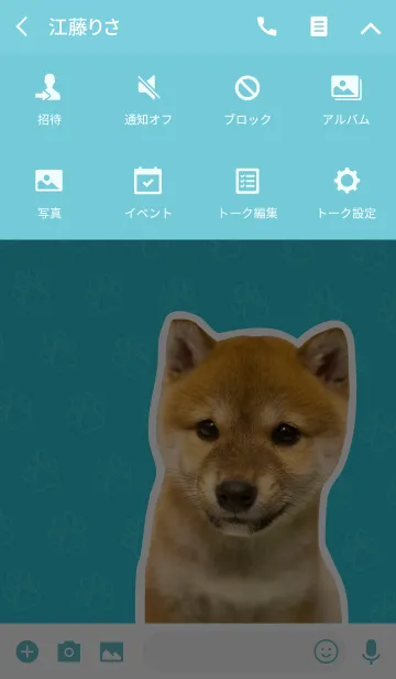 [LINE着せ替え] しばいぬハナコ【柴犬写真*a26】の画像4