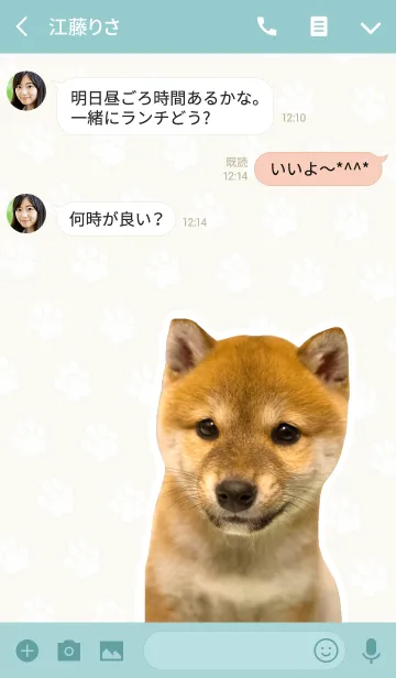 [LINE着せ替え] しばいぬハナコ【柴犬写真*a27】の画像3