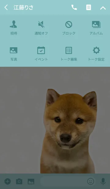 [LINE着せ替え] しばいぬハナコ【柴犬写真*a27】の画像4