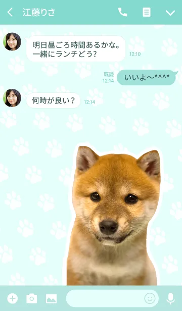 [LINE着せ替え] しばいぬハナコ【柴犬写真*a28】の画像3