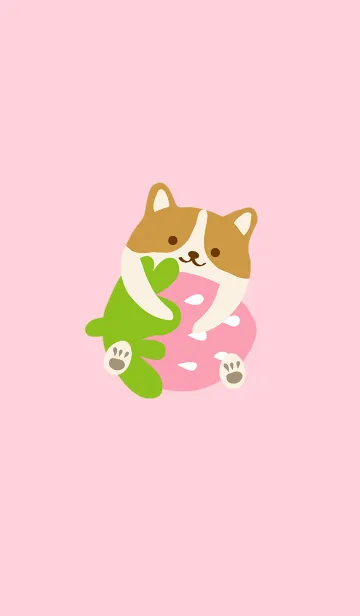 コーギー - ピンクストロベリーの着せ替えメイン画像