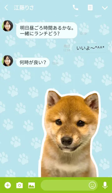 [LINE着せ替え] しばいぬハナコ【柴犬写真*a29】の画像3