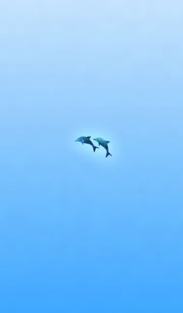 [LINE着せ替え] イルカのブルーシルエットの画像1