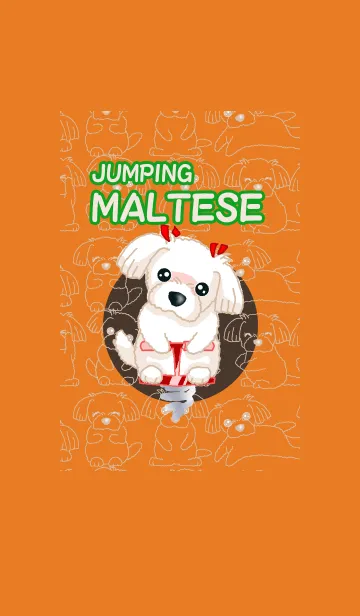[LINE着せ替え] Maltese マルチーズの画像1