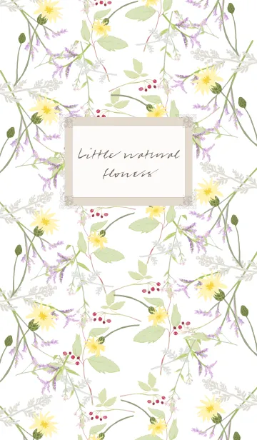 Little natural flowers 11 SUMMERの着せ替えメイン画像