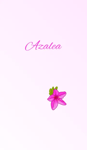 [LINE着せ替え] 花シリーズ Azaleaの画像1