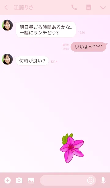 [LINE着せ替え] 花シリーズ Azaleaの画像3