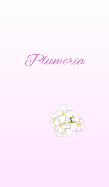 [LINE着せ替え] 花シリーズ Plumeriaの画像1