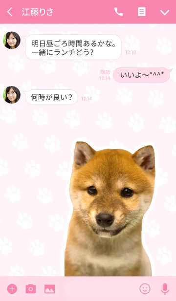 [LINE着せ替え] しばいぬハナコ【柴犬写真*a31】の画像3