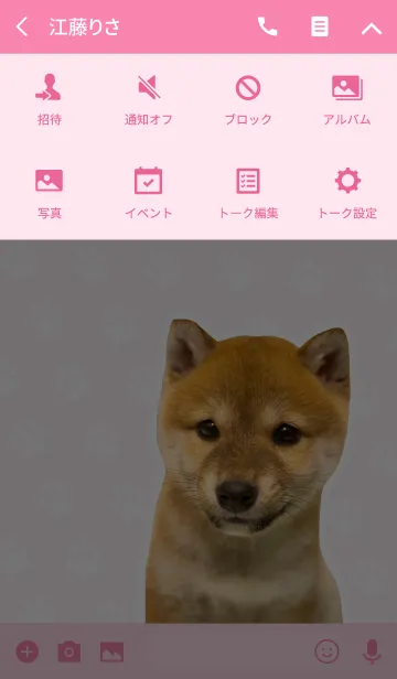 [LINE着せ替え] しばいぬハナコ【柴犬写真*a31】の画像4