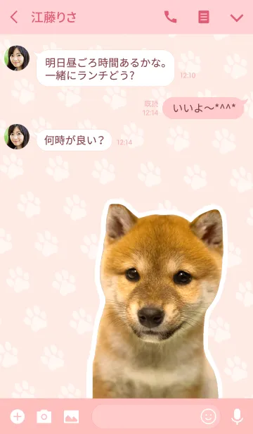 [LINE着せ替え] しばいぬハナコ【柴犬写真*a32】の画像3