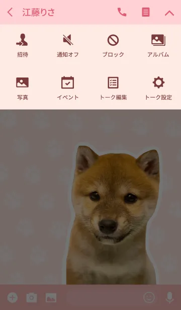 [LINE着せ替え] しばいぬハナコ【柴犬写真*a32】の画像4