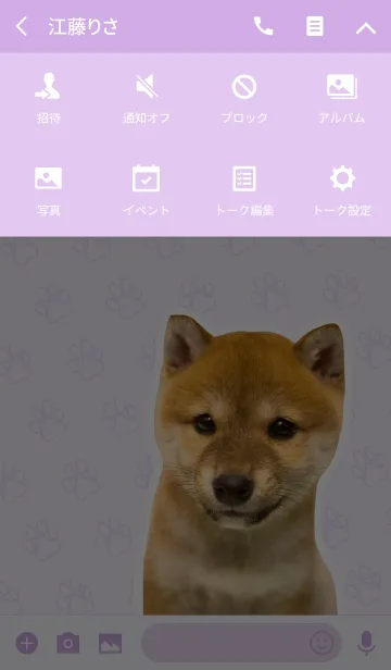 [LINE着せ替え] しばいぬハナコ【柴犬写真*a37】の画像4