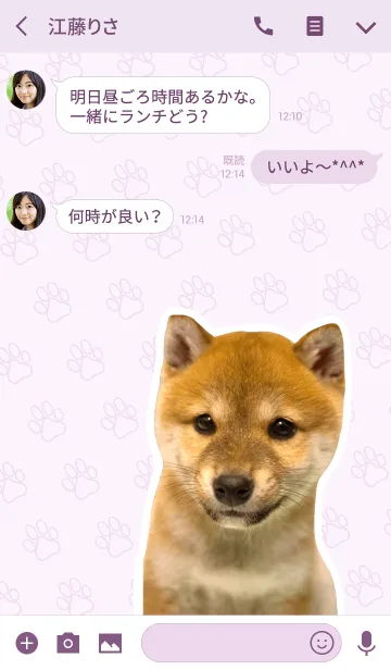 [LINE着せ替え] しばいぬハナコ【柴犬写真*a38】の画像3