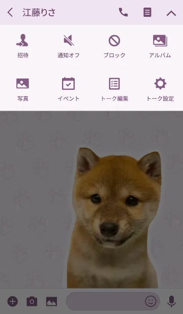 [LINE着せ替え] しばいぬハナコ【柴犬写真*a38】の画像4