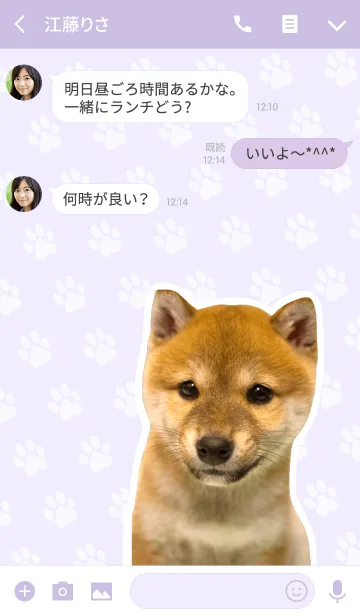 [LINE着せ替え] しばいぬハナコ【柴犬写真*a39】の画像3